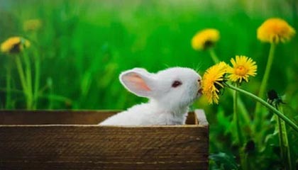 足球澳客网官网首页-球队内部矛盾加剧，是否会影响球队实力？