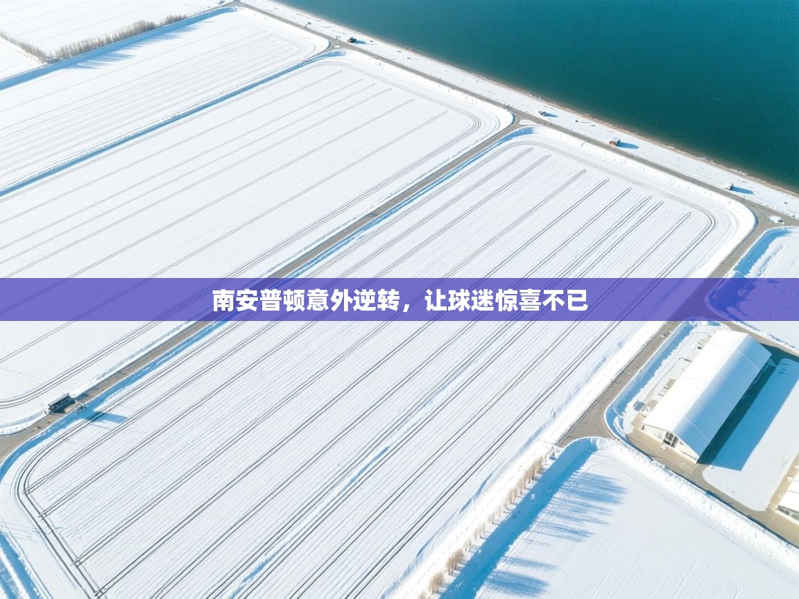 南安普顿意外逆转，让球迷惊喜不已