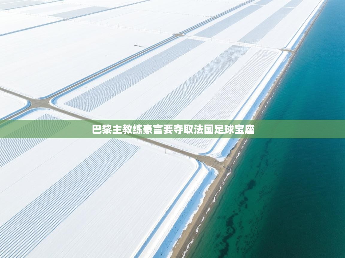 巴黎主教练豪言要夺取法国足球宝座  第1张