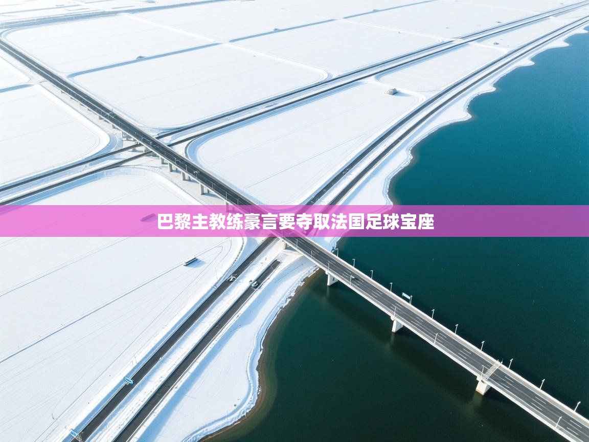 巴黎主教练豪言要夺取法国足球宝座  第2张